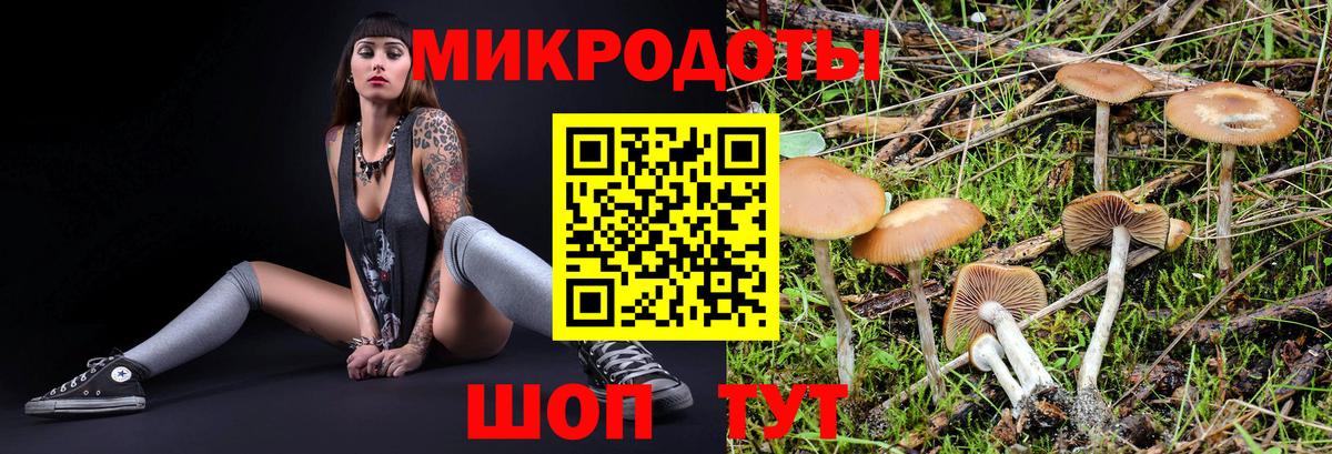 Прохладный  Галлюциногенные грибы Cubensis  Псилоцибиновые грибы MAGIC MUSHROOMS  купить наркоту  Вход с VPN 