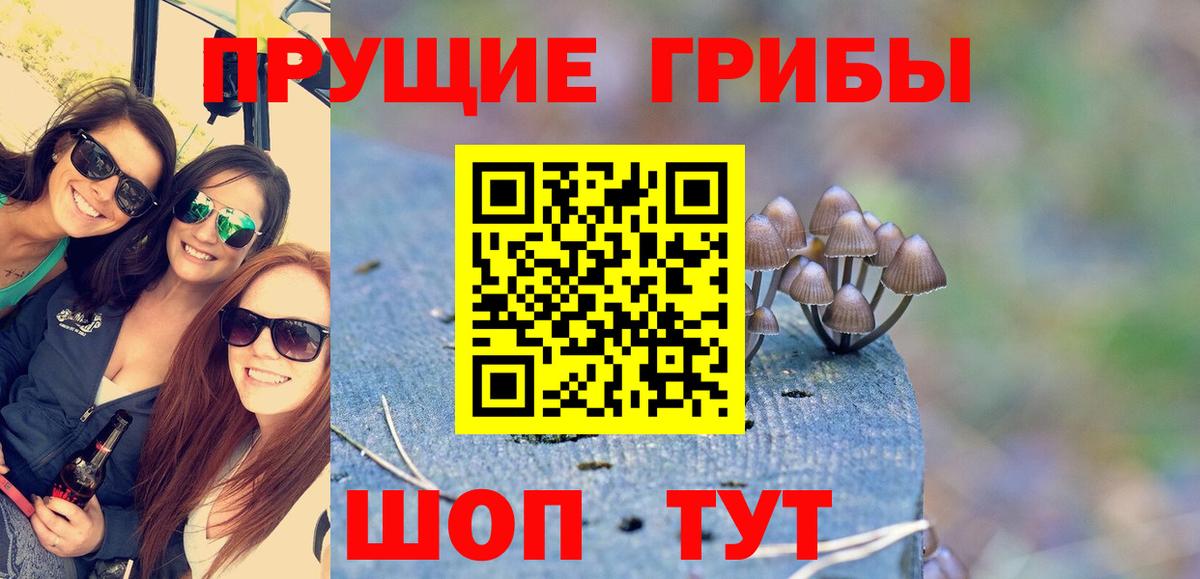 Псилоцибиновые грибы MAGIC MUSHROOMS Прохладный